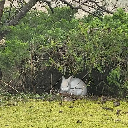 Naturoase Проживание в семье